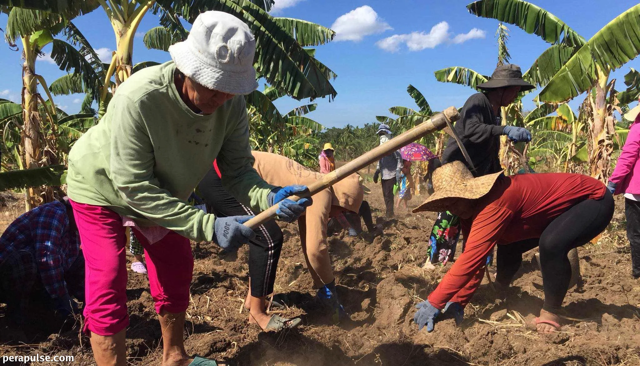 A decade later, Kidapawan faces renewed unrest as El Niño devastates farms