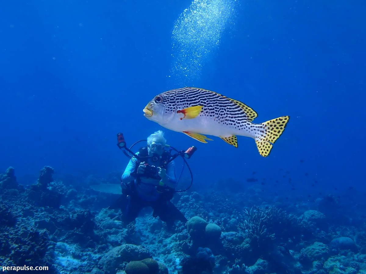 A Terrible Loss: Remembering Marine Scientist Kent E. Carpenter