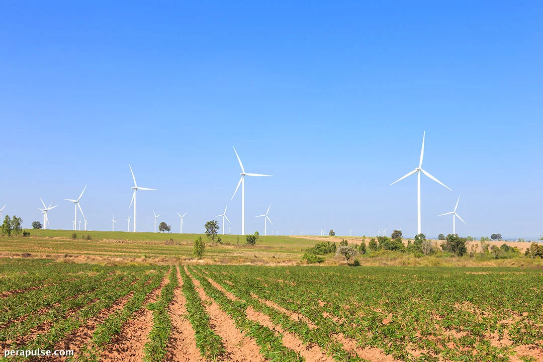 Nakipagtulungan ang ACEN sa Dutch Investor para sa Ikalawang Proyekto ng Renewable Energy sa India