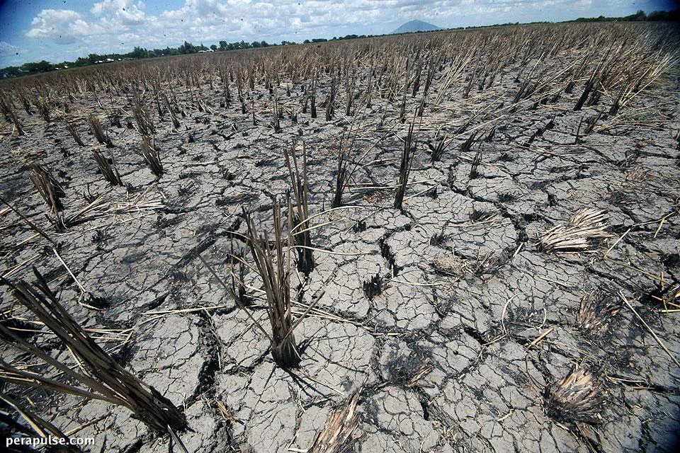 All Provinces in the Philippines Face Drought Risk by March 2027, Warns DOST
