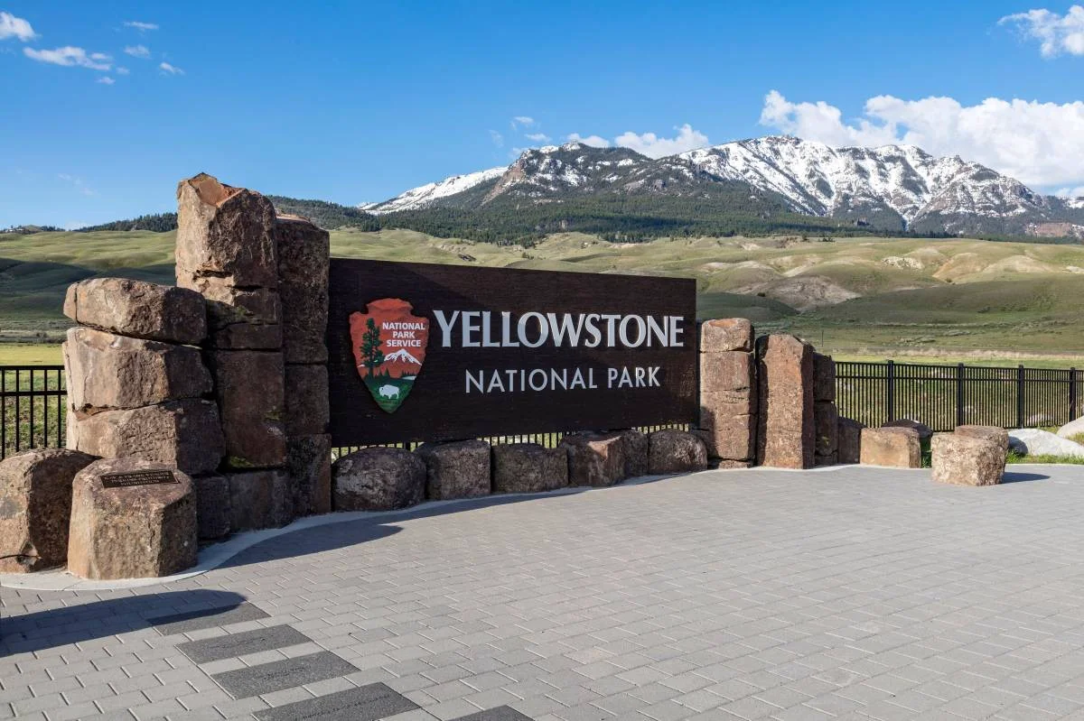 Atake ng Oso Nagdulot ng Pinsala sa Dalawang Manggagala sa Malapit sa Old Faithful sa Yellowstone
