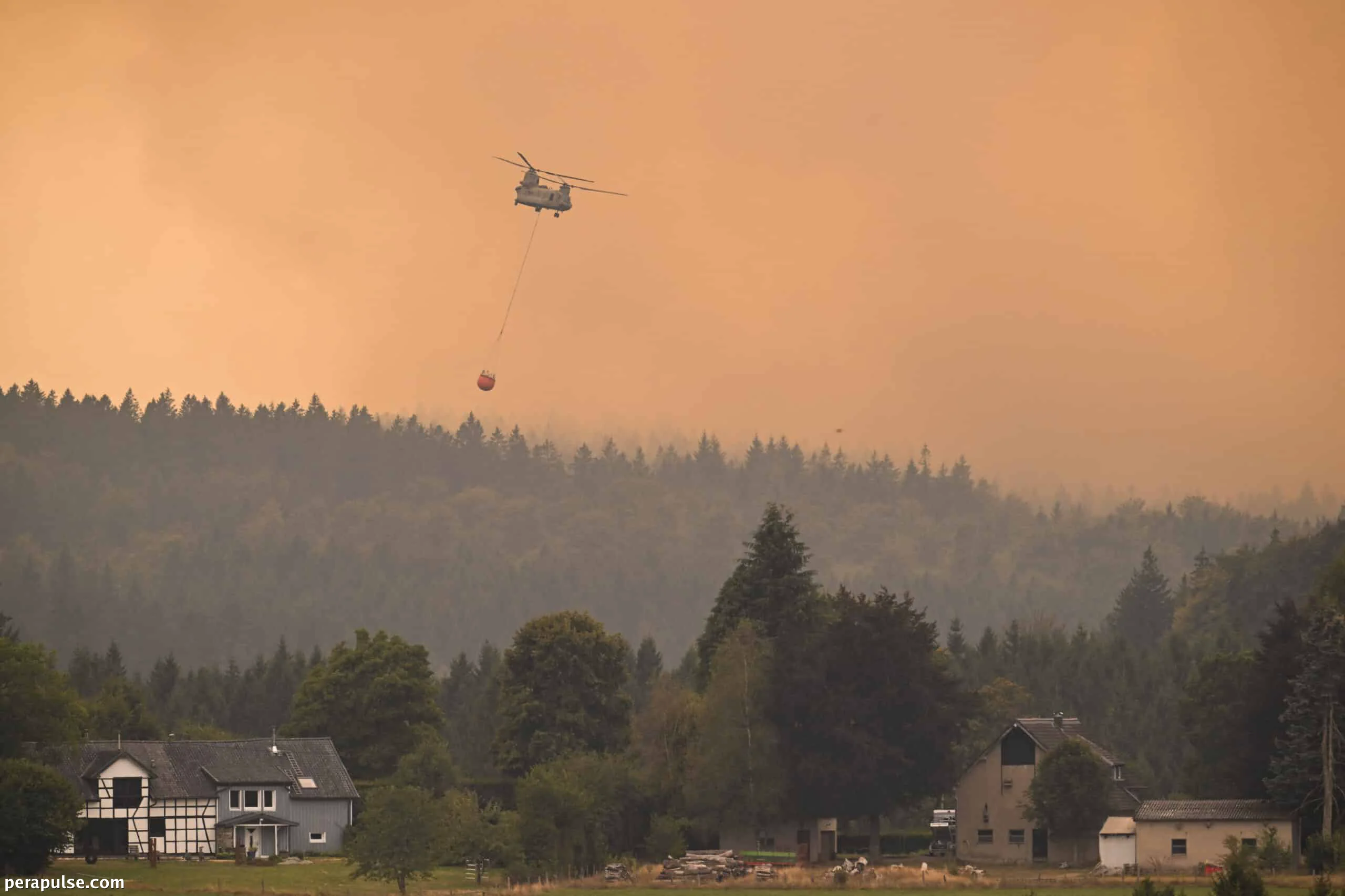 Belgium Wildfire Triggers Evacuations in German Border Town