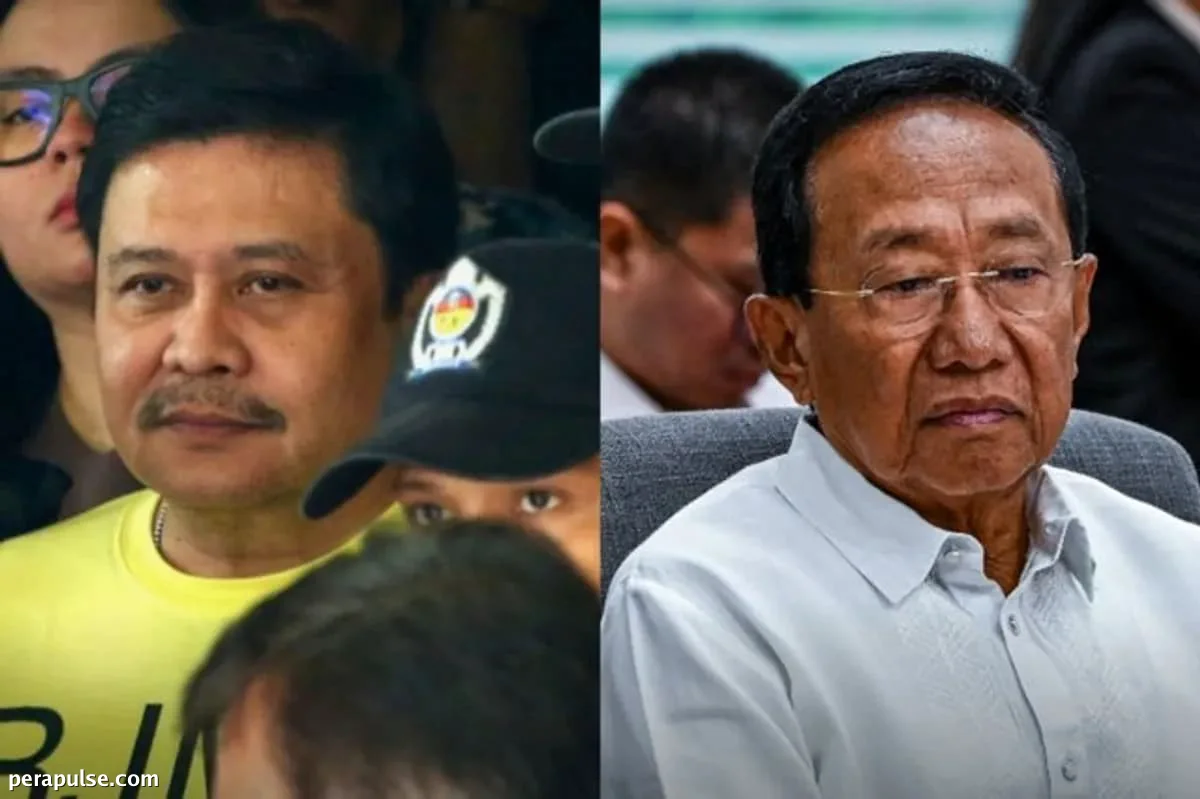 Bonoan and Whistleblowers Set to Testify in Estrada Plunder Case