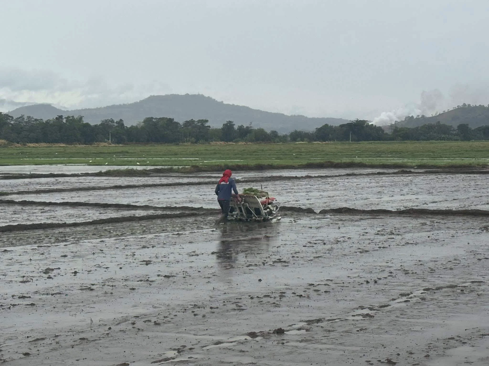 Mga Magsasaka sa Bukidnon Naghahanda para sa Inaasahang Tagtuyot