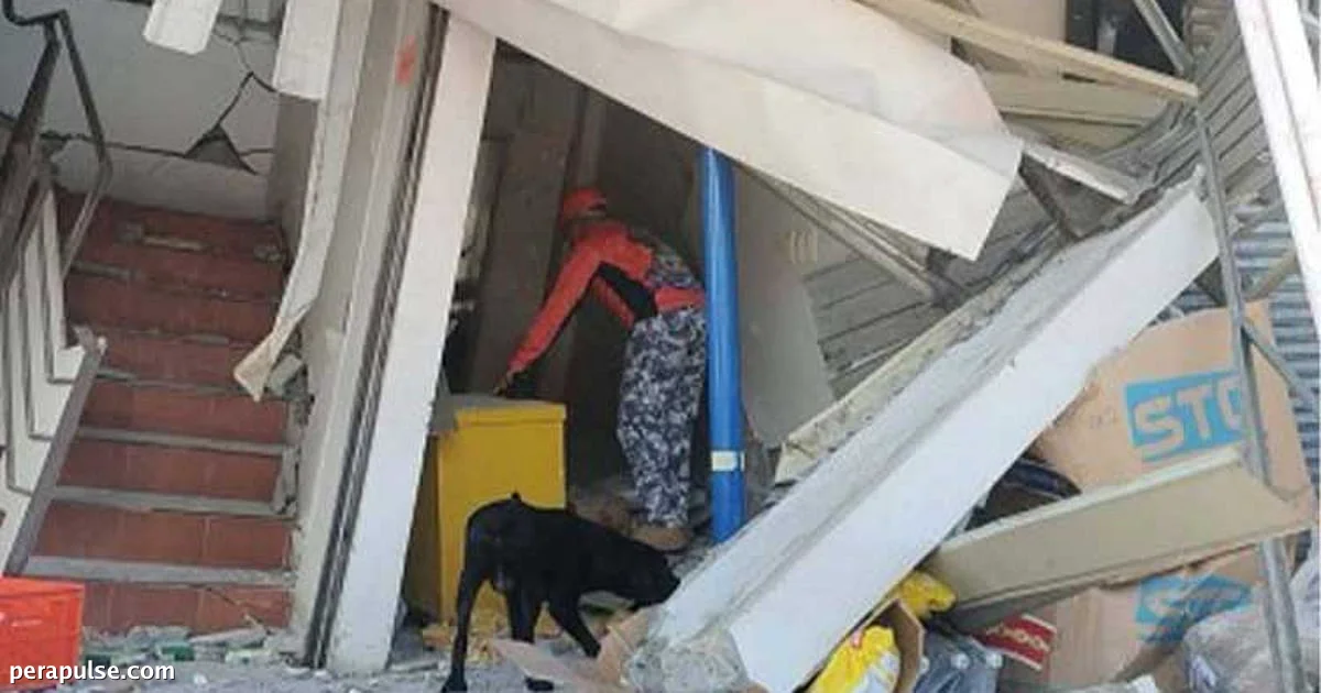 Cebu Provincial Board Allocates P25M Aid to Mindanao Earthquake Victims