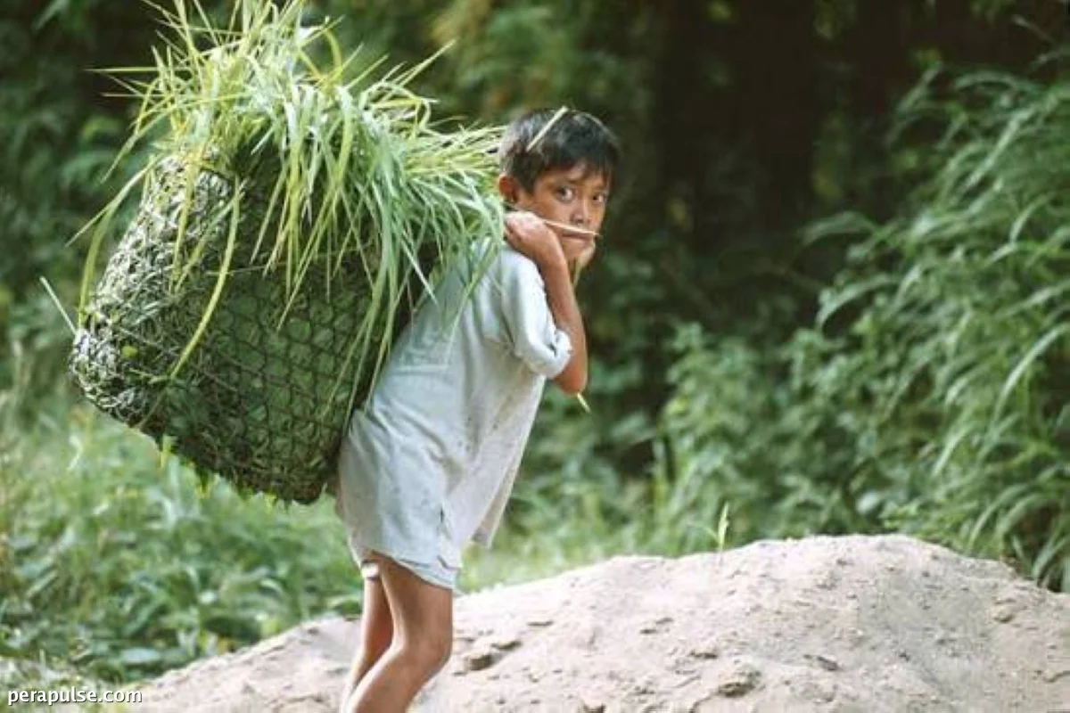 Tumaas ang Bilang ng mga Batang Manggagawa sa Pilipinas, Ayon sa PSA