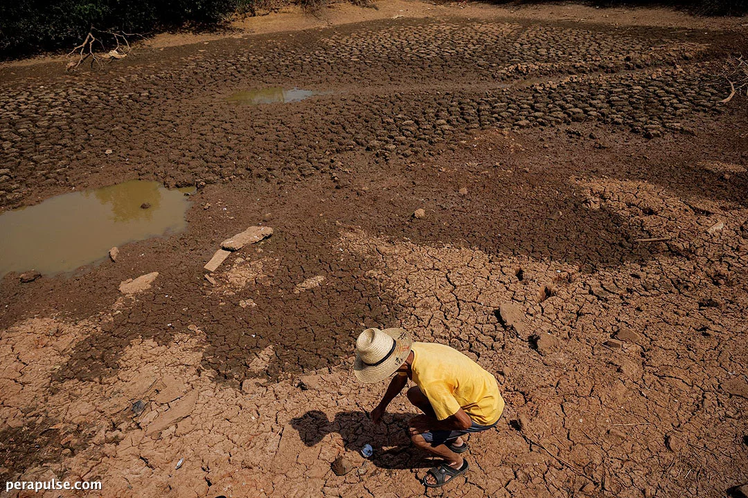 Sinusuportahan ng DA ang Pahayag ng Estado ng Kalamidad sa Gitna ng mga Pagkawala sa Agrikultura Dulot ng El Niño