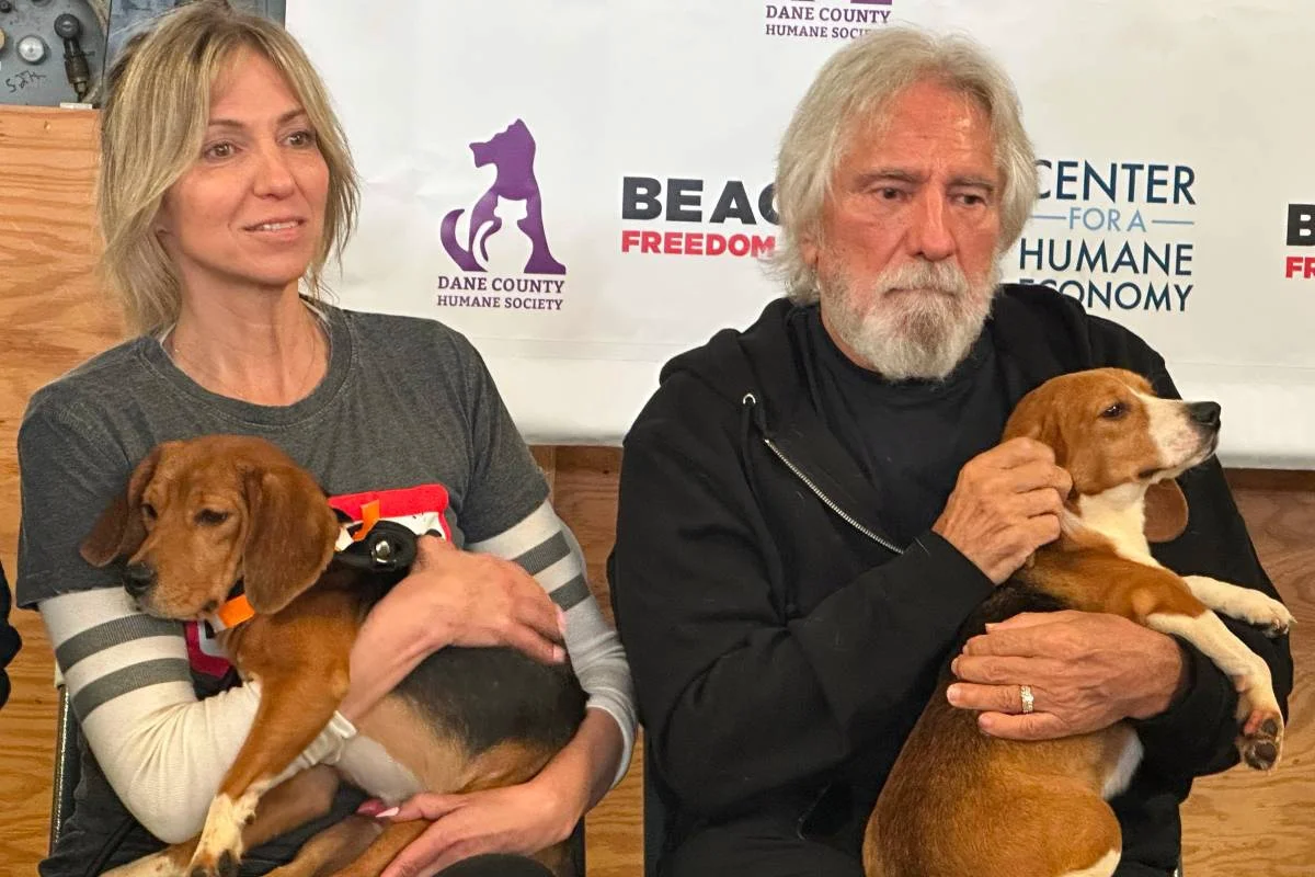 Debbie Gibson at Geezer Butler ng Black Sabbath Suportado ang Pagsisikap sa Pag-aampon ng Beagle