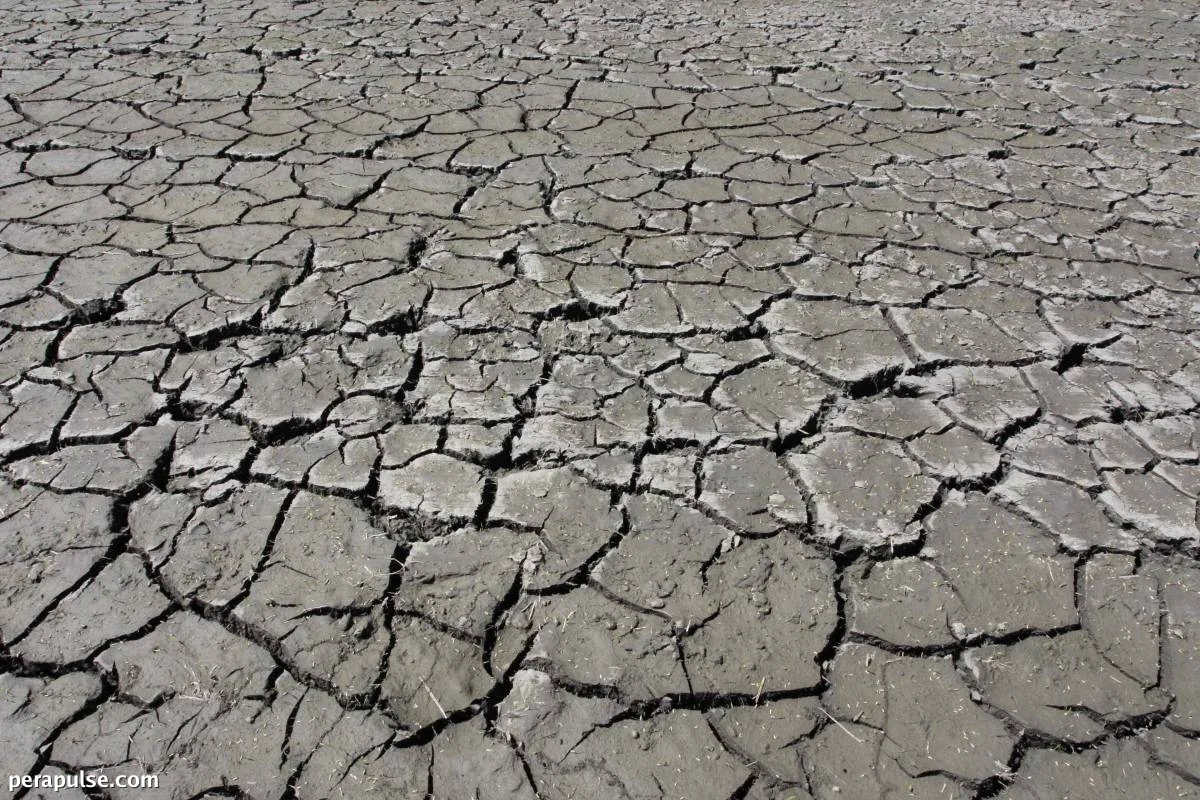Nagbabala ang DoST-Pagasa ng Napakalakas na El Niño na Tatagal Hanggang Kalagitnaan ng 2027