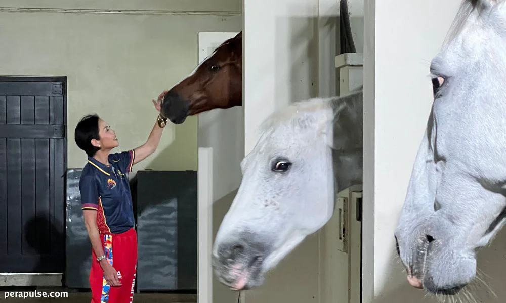 Dr. Maritess Gozon Viterbo: Mastering the Art of Listening to Horses