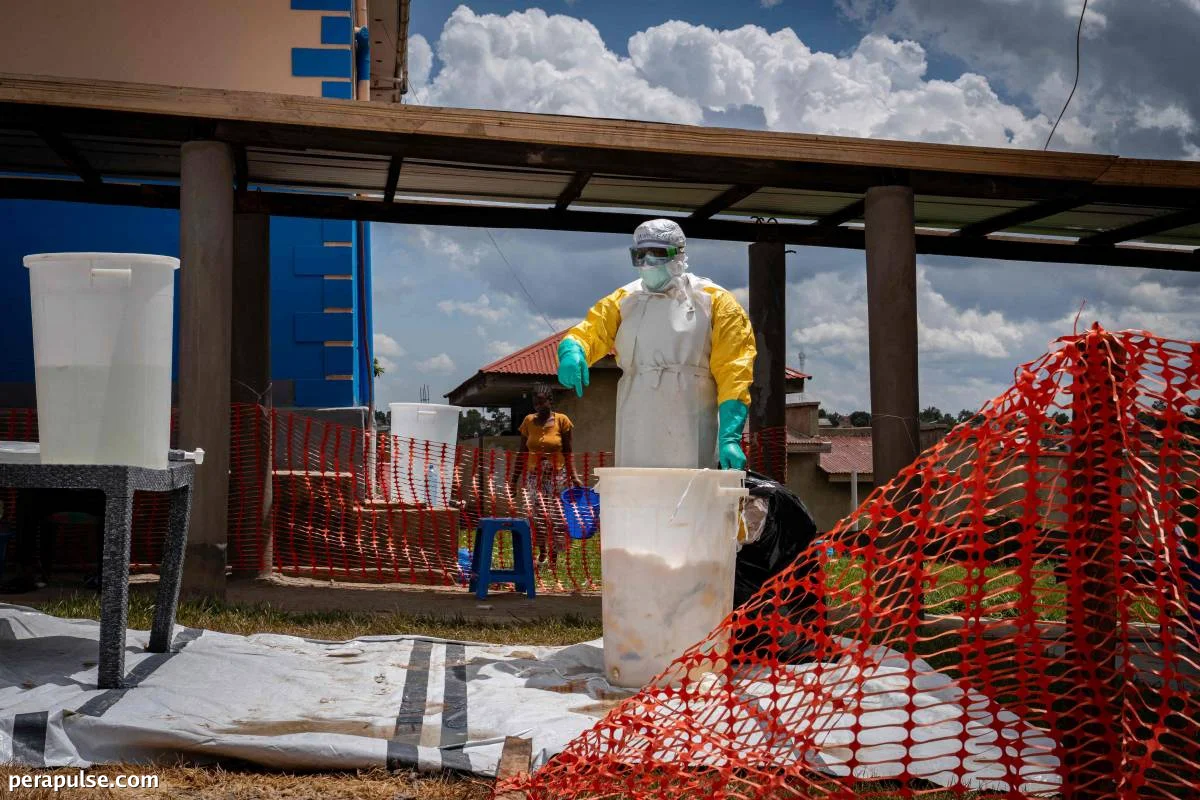 Ang paglaganap ng Ebola sa Gitnang Africa ay maaaring lumampas sa 20,000 kaso kung walang epektibong mga hakbang