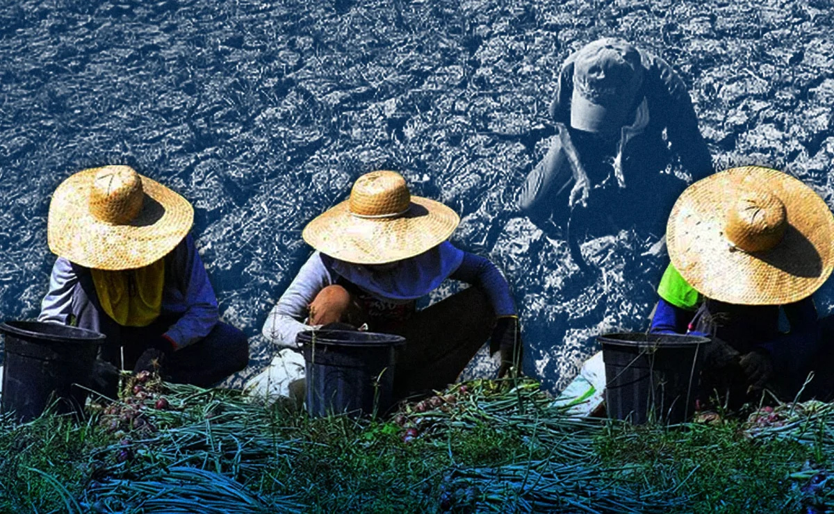 El Niño Unveils Short-Term Solutions, Ignoring Long-Term Resilience Needs