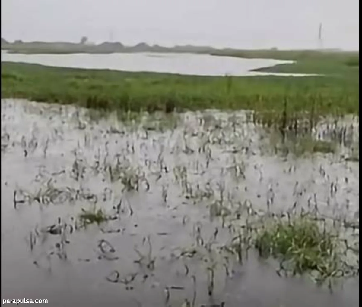 Emergency Evacuations Ordered as Sto. Tomas Dike Breached in Pampanga