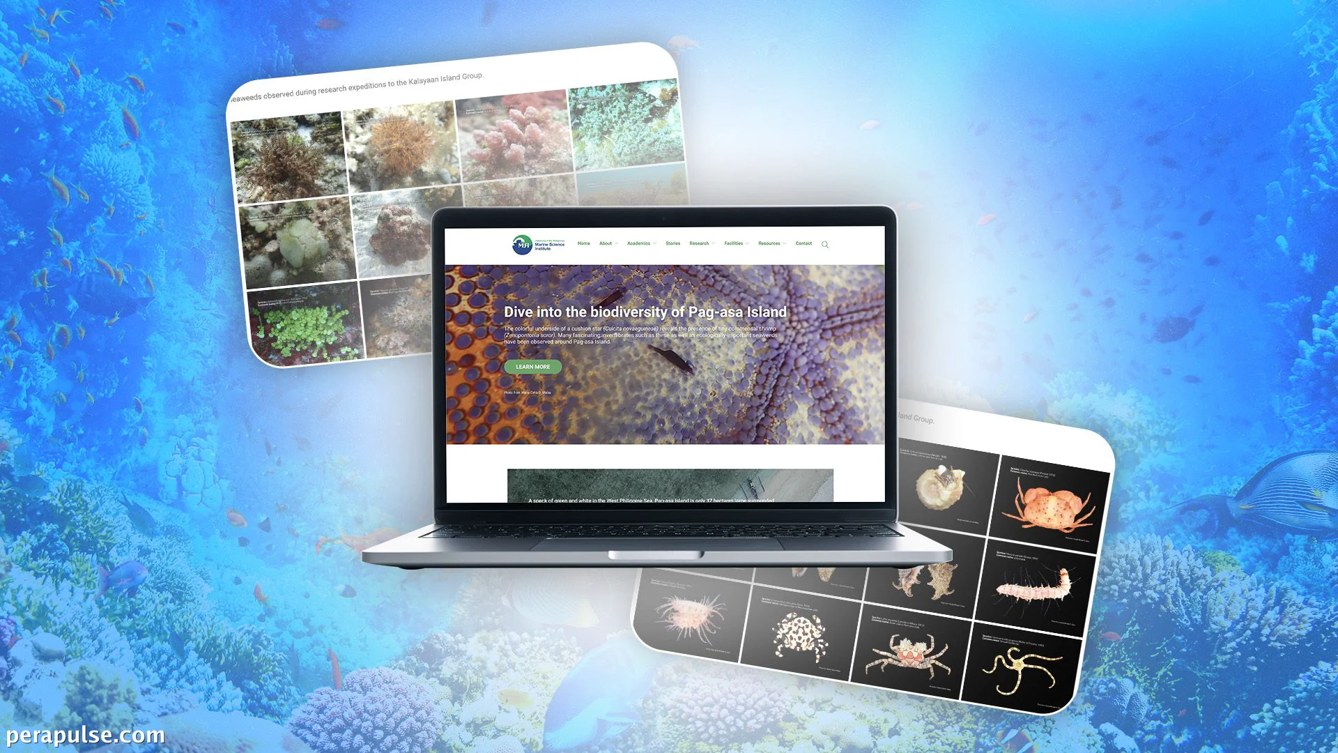 Tuklasin ang Biodiversity ng Pag-Asa Island sa Pamamagitan ng Bagong Website ng UP MSI