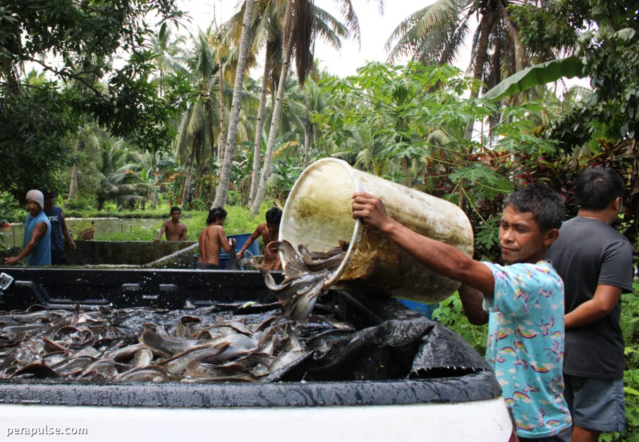 Saklaw ng Pinsala sa Ari-arian Matapos ang Baha sa Davao City ay Patuloy na Sinusuri