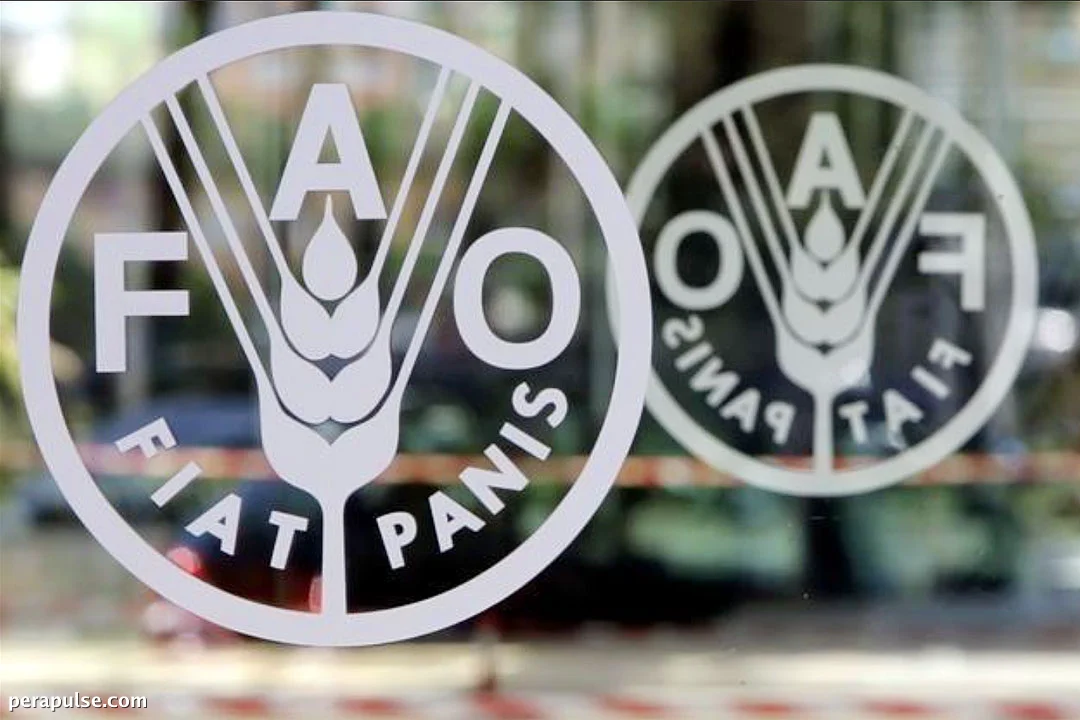 FAO Advocates Crop Diversification to Combat El Niño Effects