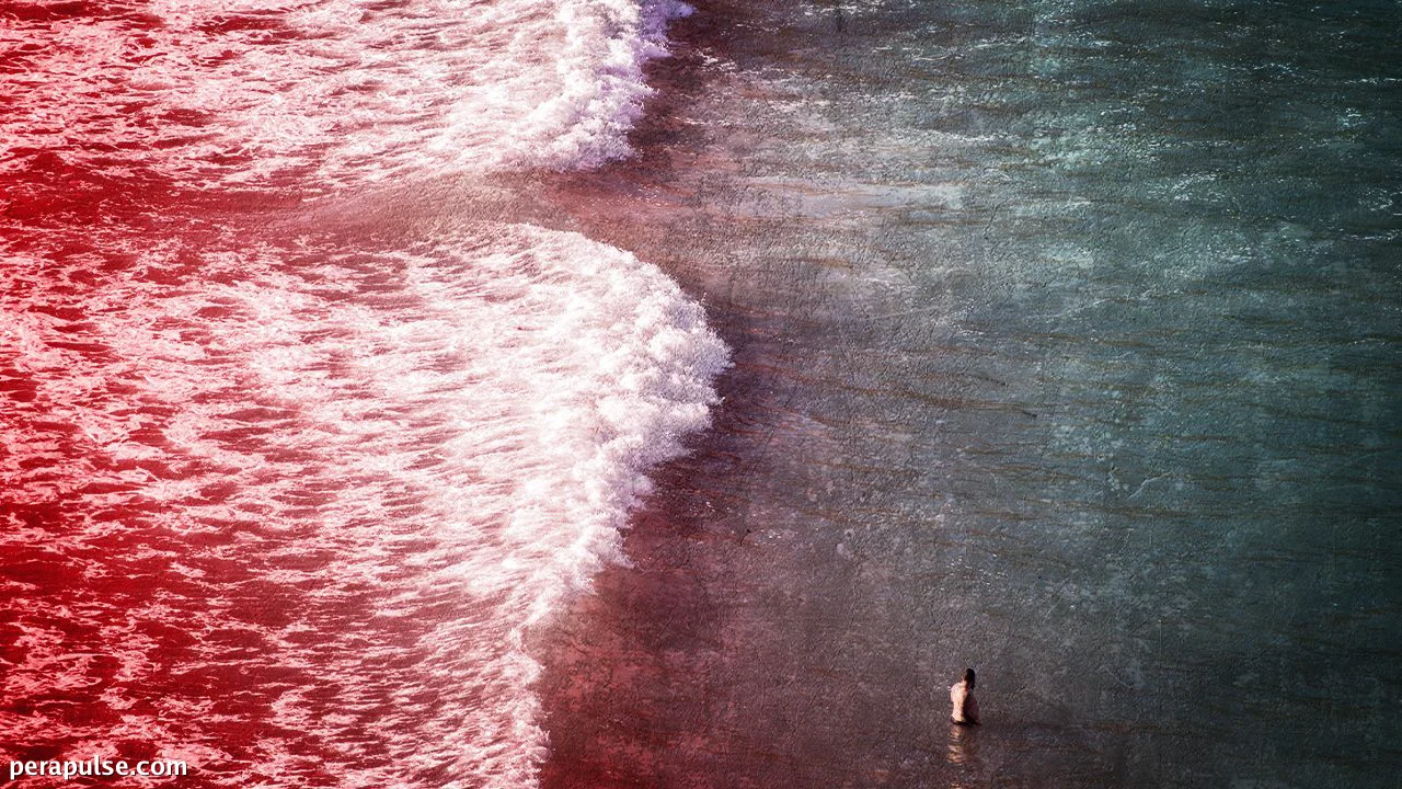 FAST FACTS: Understanding Rip Currents and Survival Tips