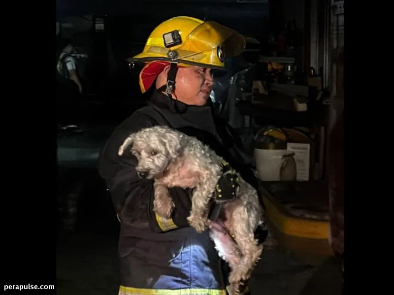 Fire Breaks Out in Quezon City Home, Residents Evacuated