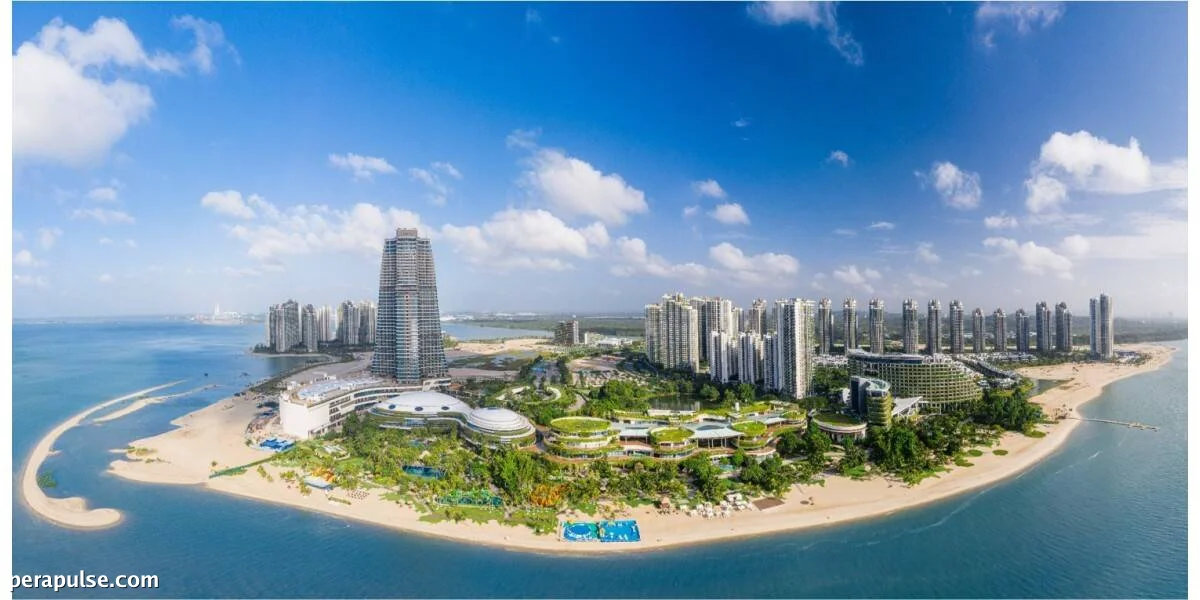 Forest City SFZ Reports Investment Surge and Early Traction in JS-SEZ Development