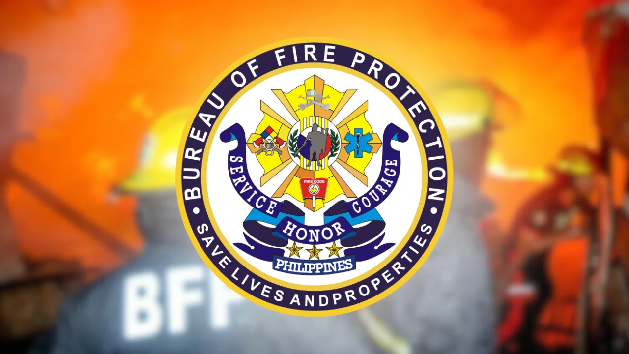 Four Fire Inspectors Dismissed Over Corruption Allegations, Says DILG Chief
