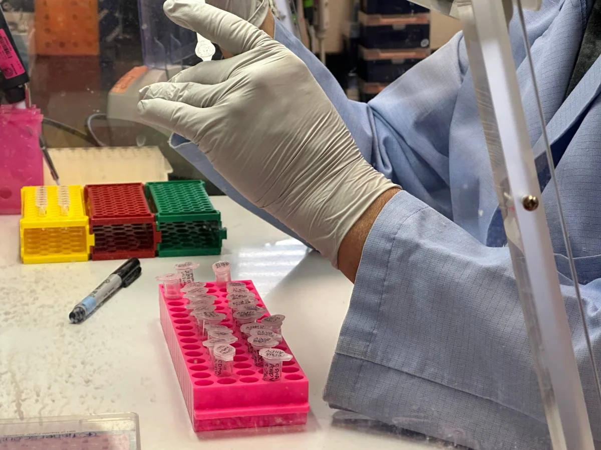 Hantavirus Cases Surge in Argentina Amid Cruise Ship Outbreak