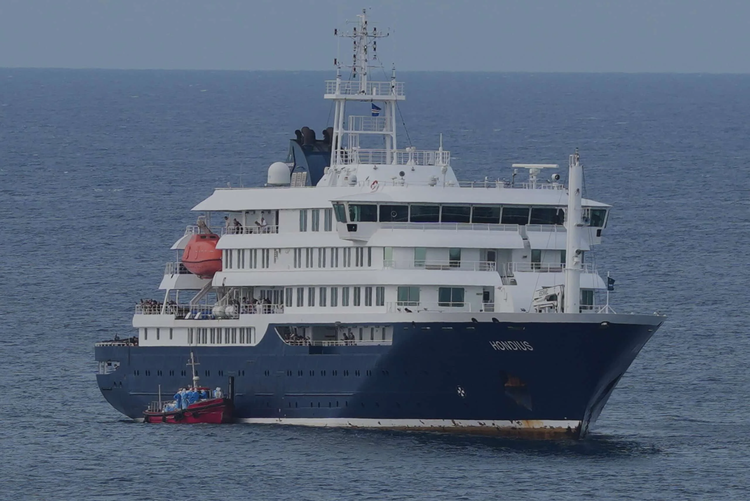 Hantavirus Surge in Argentina Linked to Cruise Ship Outbreak