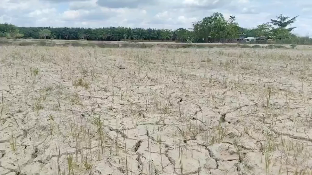 Ang mga Heat Indices ay Tataas sa Mapanganib na Antas sa Buong Pilipinas sa Mayo 10