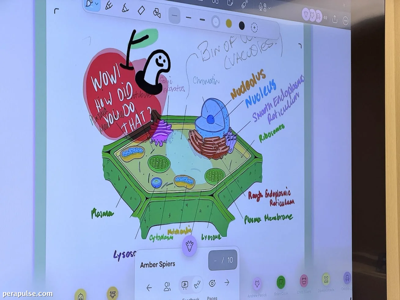 How Technology Empowers Students and Educators in the Philippines