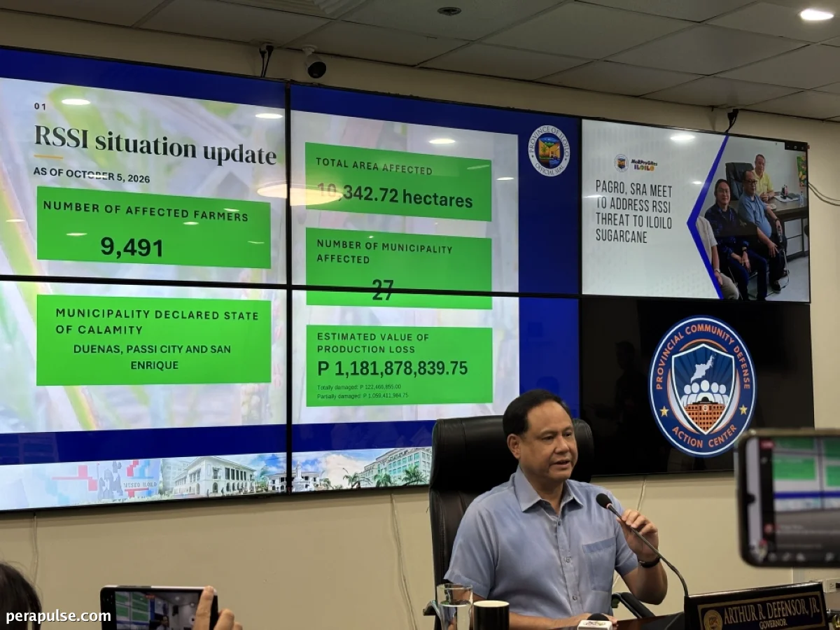 Iloilo Nahaharap sa P1.18B na Pagkalugi Dahil sa RSSI Infestation