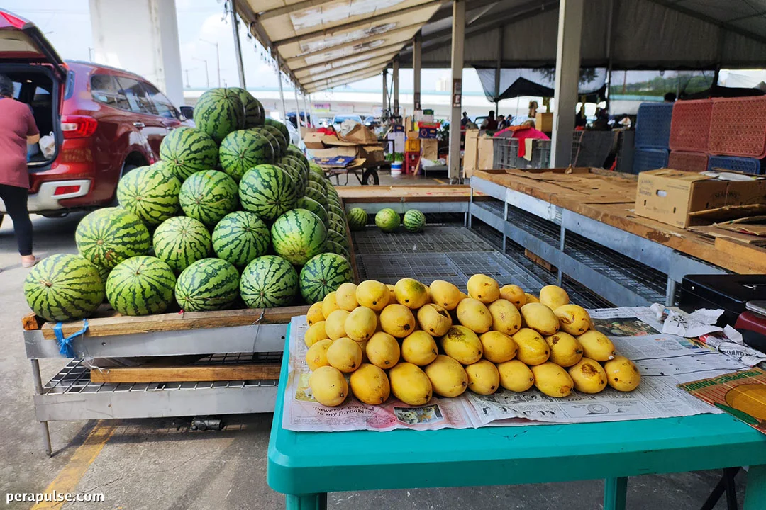 Increased Budget Fuels Farm Investments, Says Agriculture Department