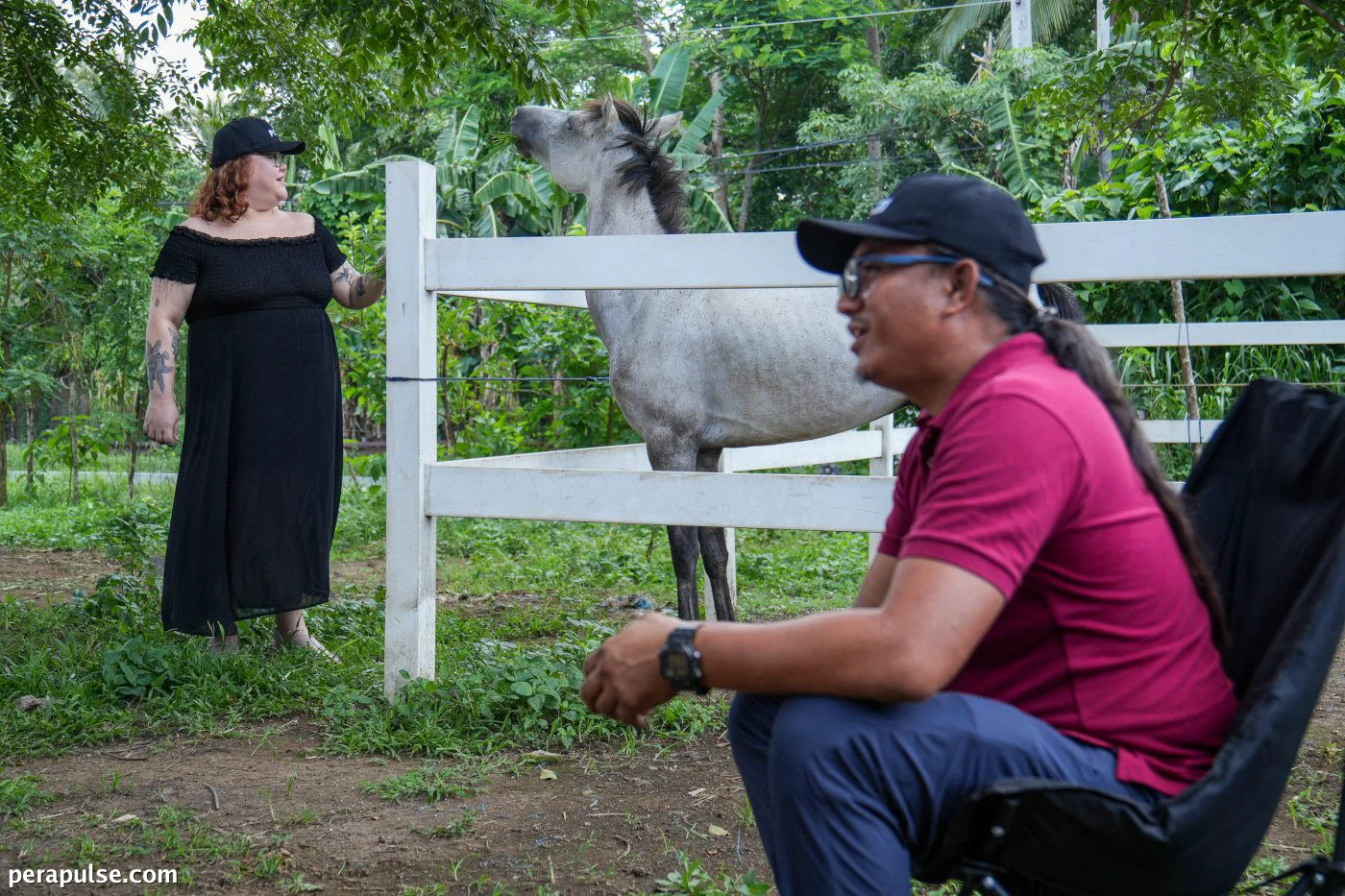 Ang daan ni Kabang patungo sa paggaling: Paano nailigtas ng PETA at isang beterinaryo ang isang kabayo