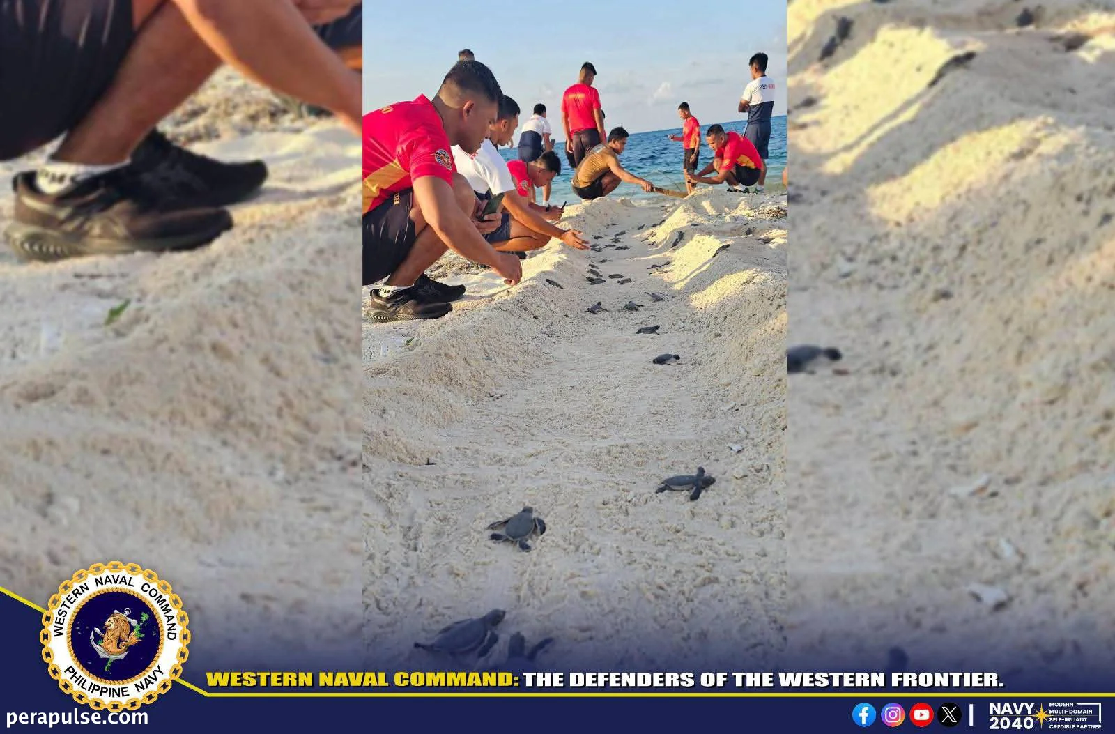 Mga Tauhan ng Navy Nagpalaya ng mga Hatchling ng Pawikan sa Kanlurang Dagat ng Pilipinas