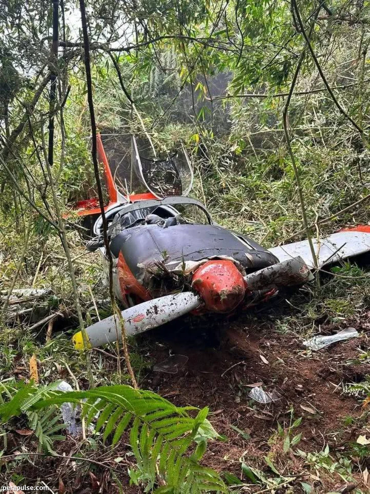 Nabagsak na Sasakyang Panghimpapawid ng PAF sa Benguet, Dalawang Sakay ay Natagpuang Walang Malay