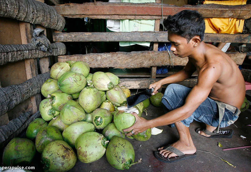 Philippine Farm Goods Targeted to Drive Export Growth, Says DTI