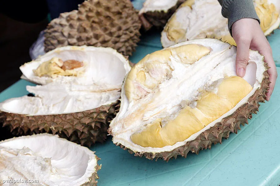 Philippines Exports Durian and Mangosteen to Vancouver