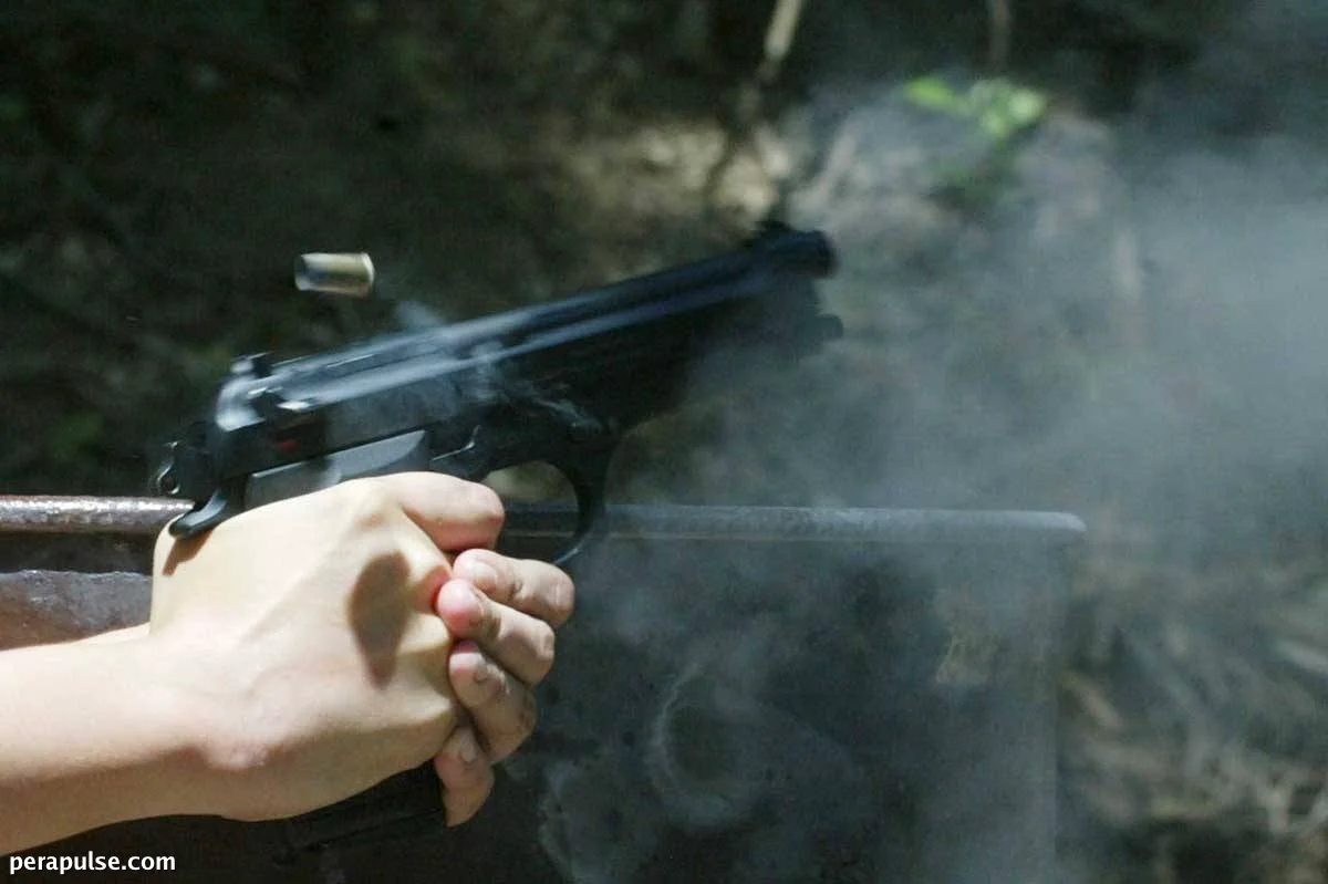 PNP Backs Push for Accountability Among Negligent Gun Owners