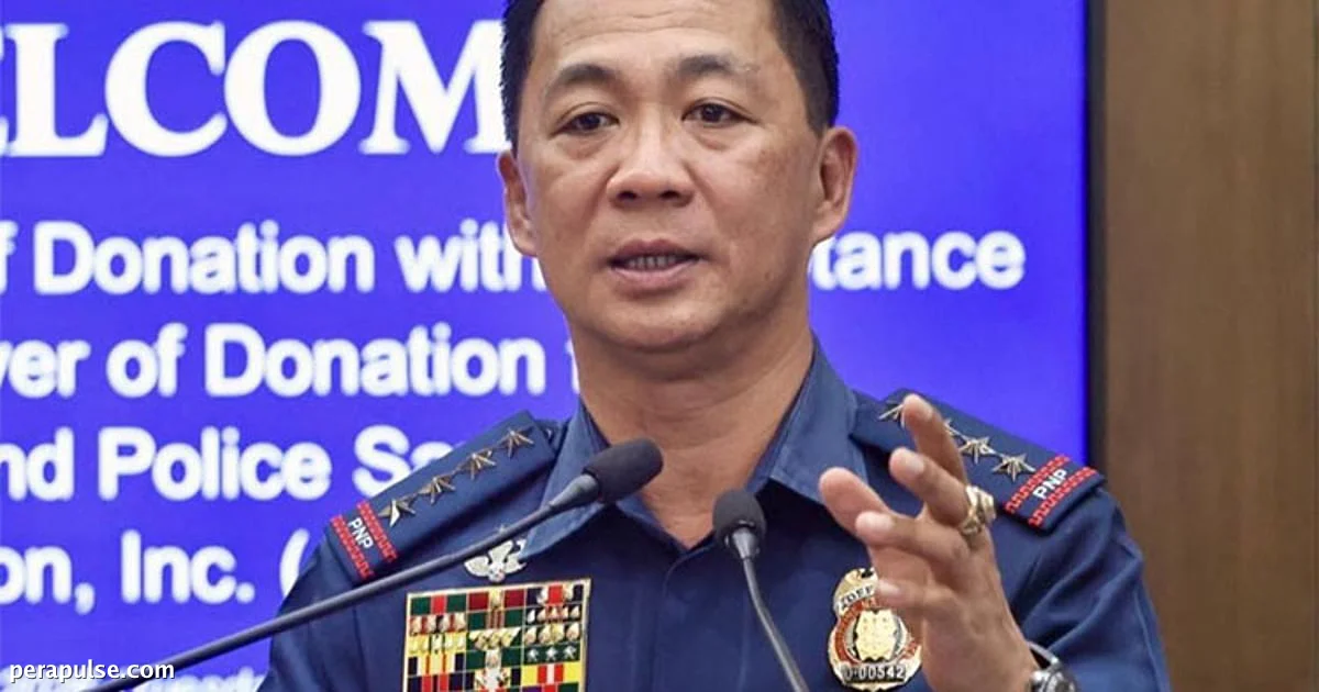 PNP Chief Calls for Review of Juvenile Justice System in the Philippines