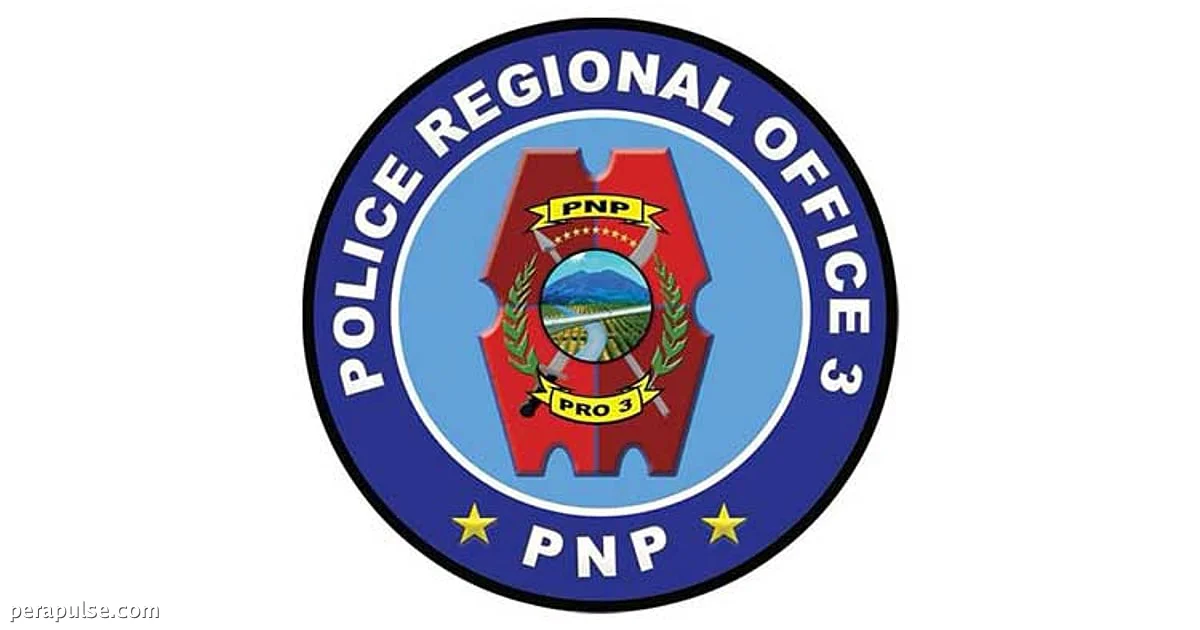 PRO-3 Reports Drop in Focus Crimes Amid Safer Cities Initiative