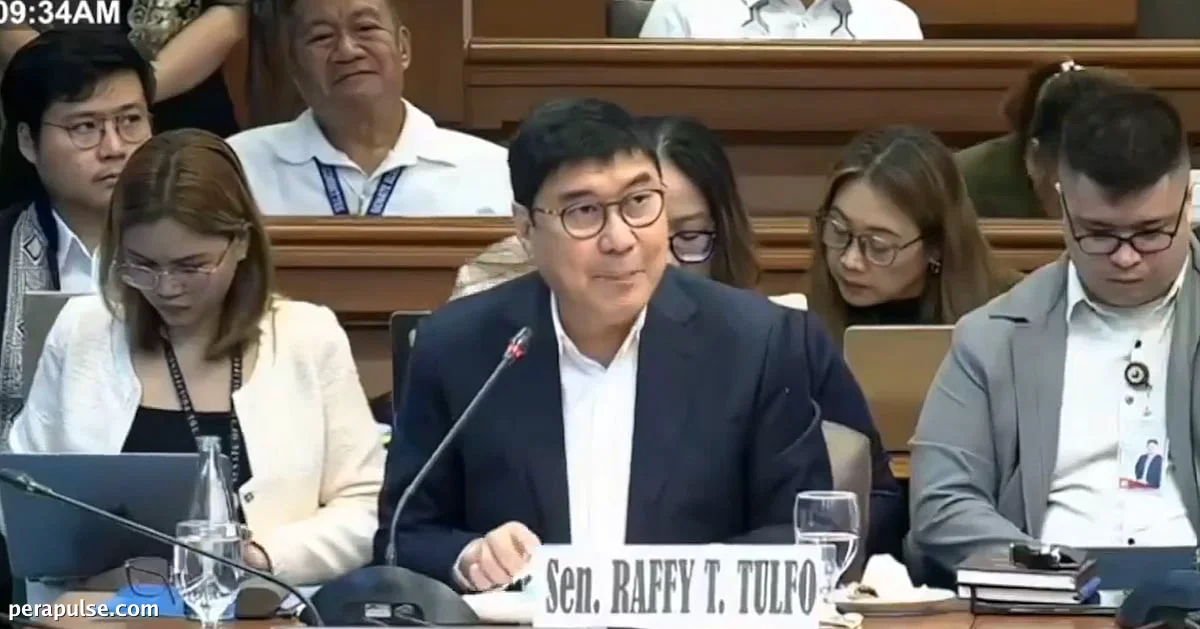 Raffy Tulfo Questions Claims of Ex-Marines During Senate Flood Control Inquiry