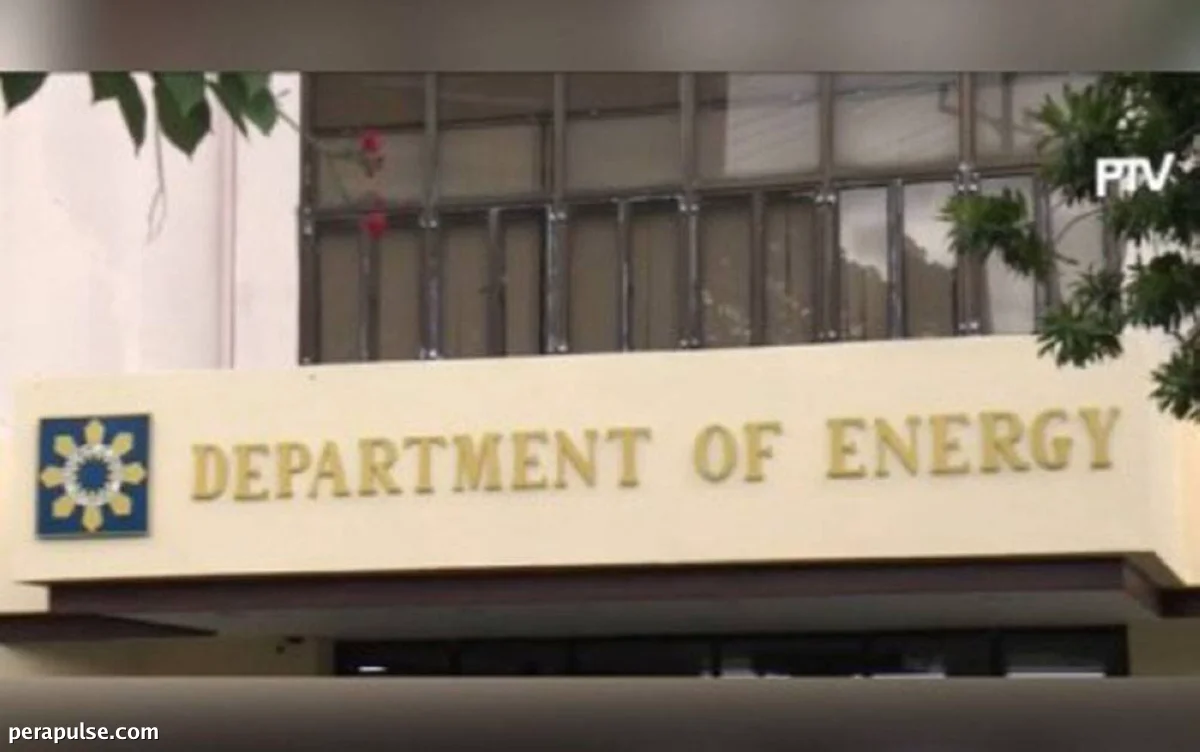 RDC-6 Nanawagan ng Deklarasyon ng Power Emergency sa Kanlurang Visayas