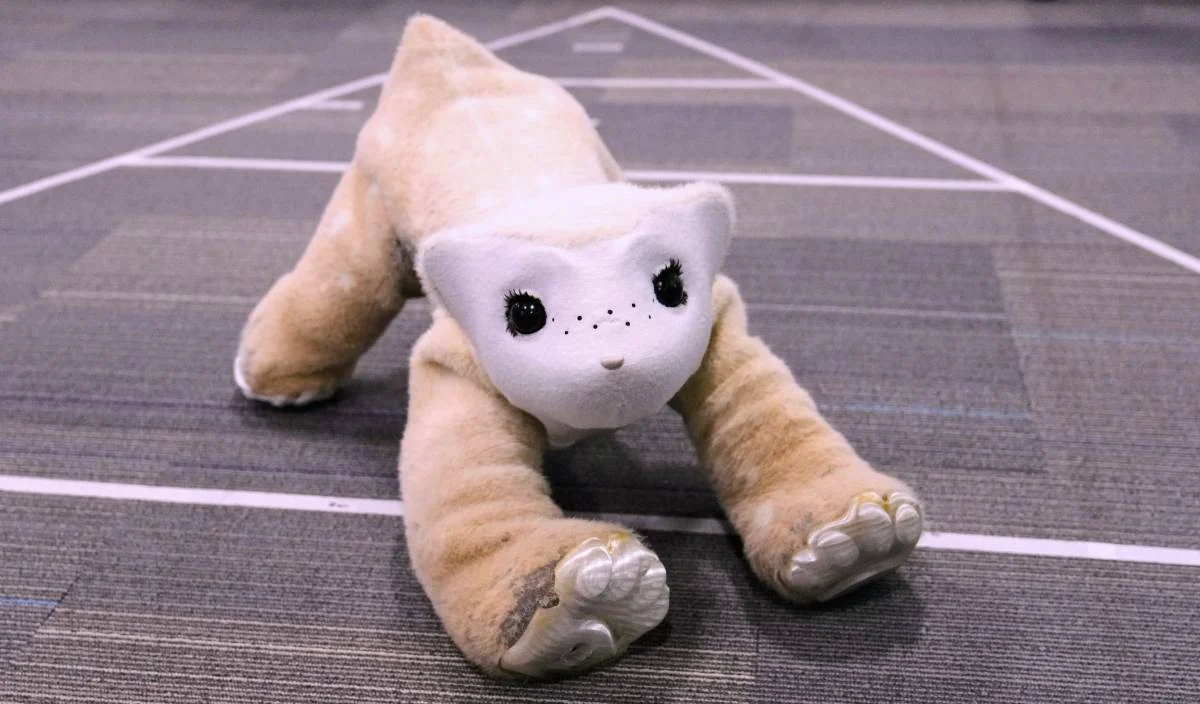 Inilunsad ng Pionero ng Roomba ang AI-Powered Pet Robot upang Baguhin ang Pakikipagkaibigan sa Bahay