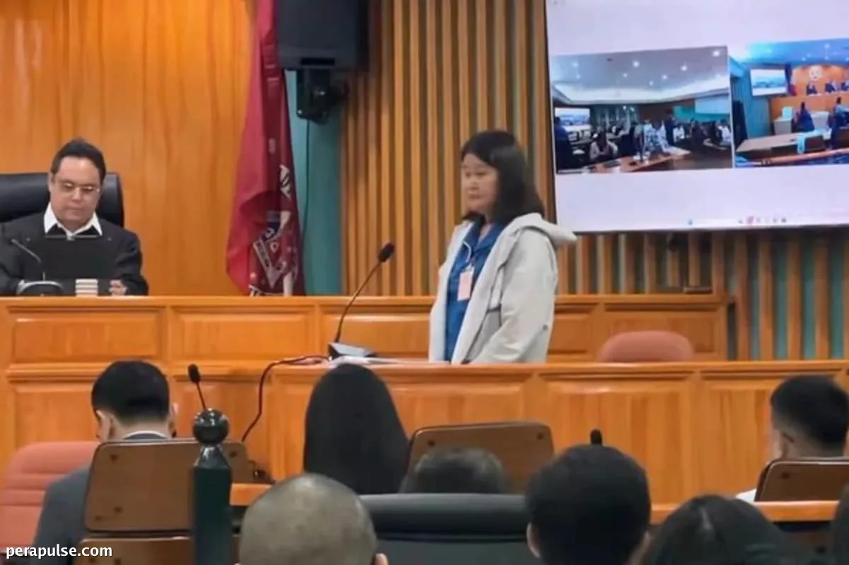 Kinilala ng Aide ni Sally Santos ang mga Paghahatid ng Pondo kay Brice Hernandez sa Gitna ng Kontrobersiya