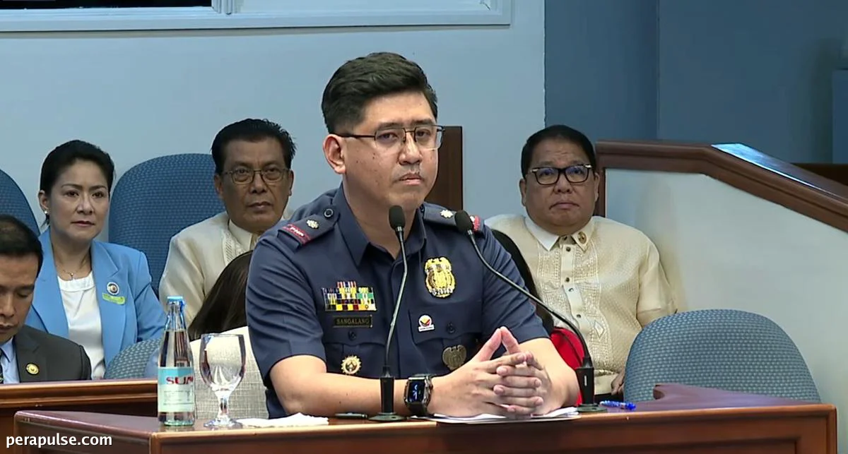 Sara Duterte impeachment trial: VP's extensive firearm collection revealed