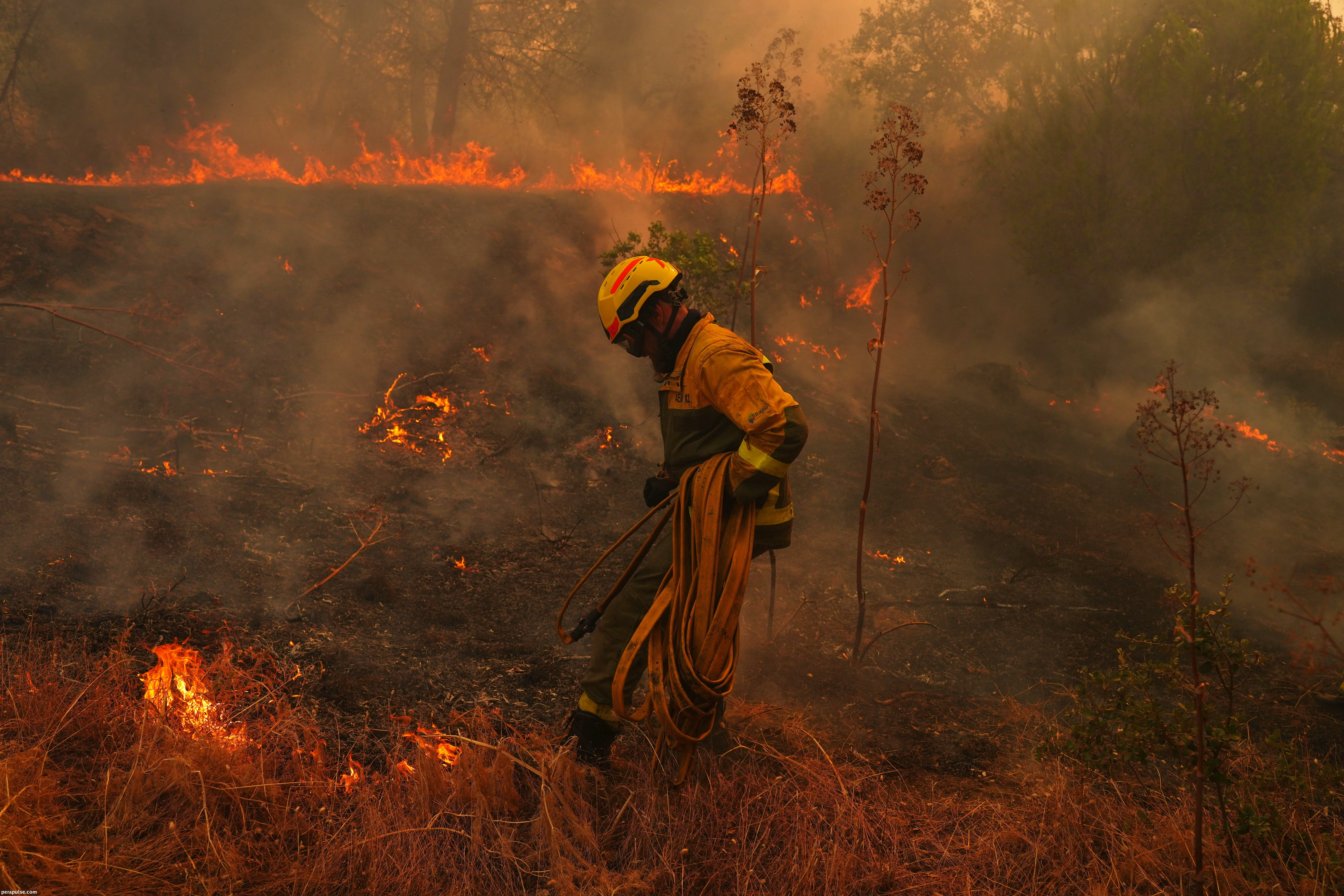 Scientists Link Climate Change to Increased Wildfire Risks in Spain and France