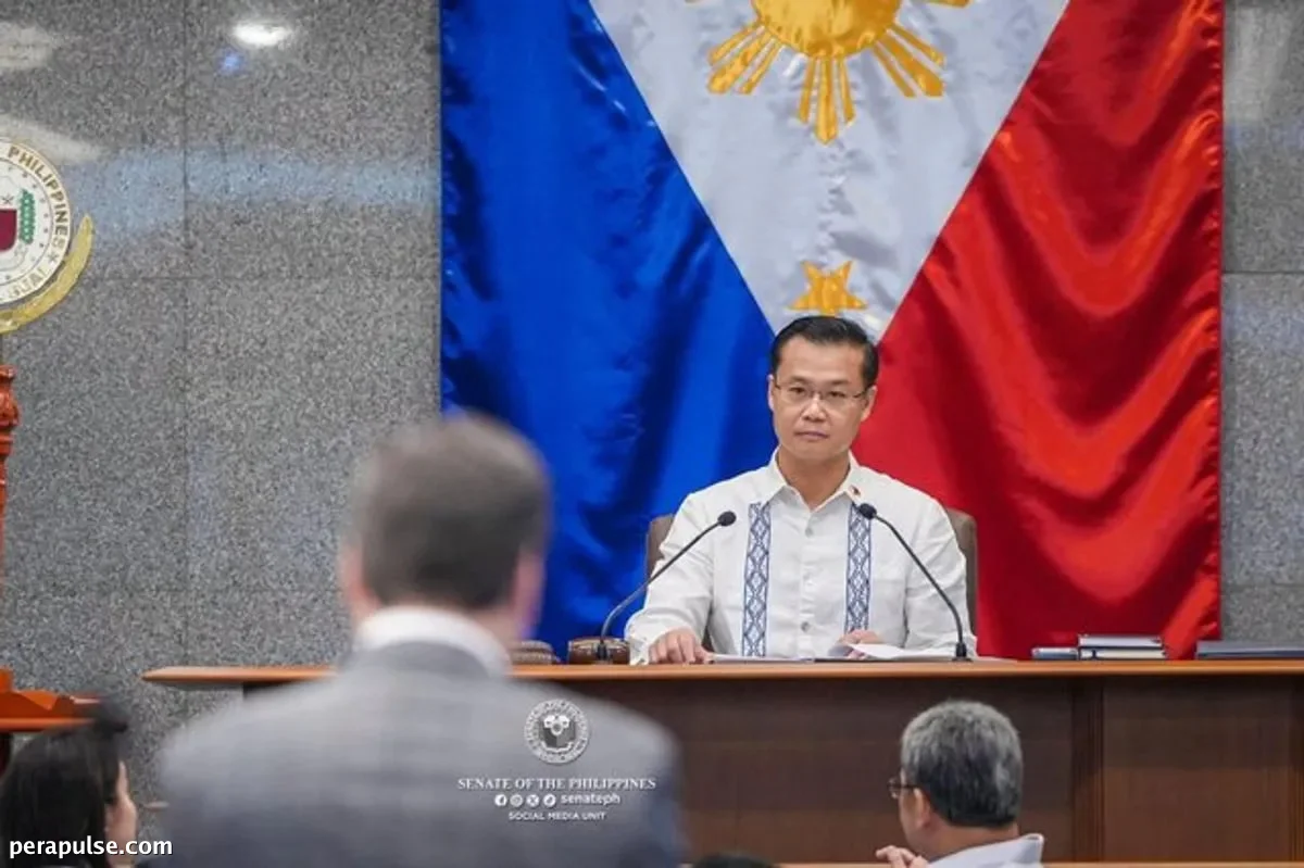 Senator Gatchalian Declares 'Senateflix' Era Over, Focus on Legislation Resumes
