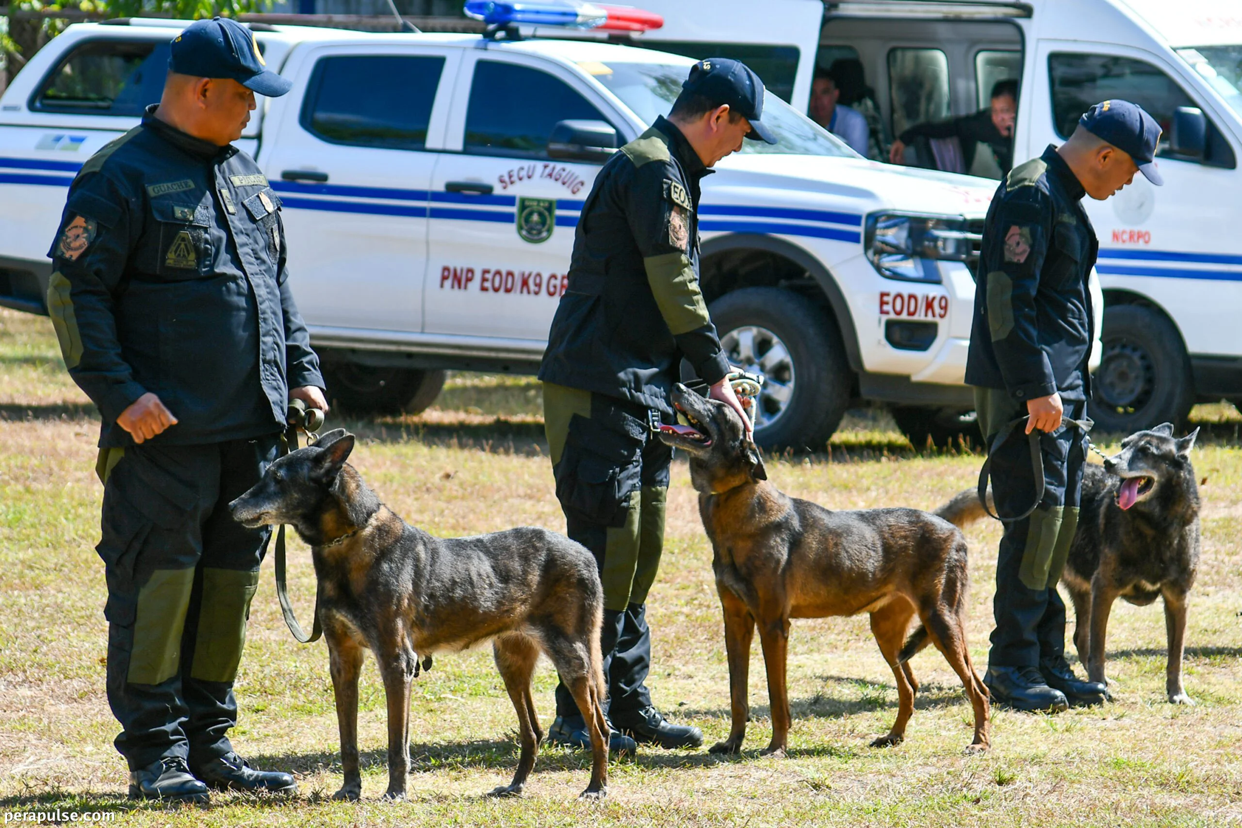 Shortage of K-9 Dogs Hits PNP Amid Aging Canine Force