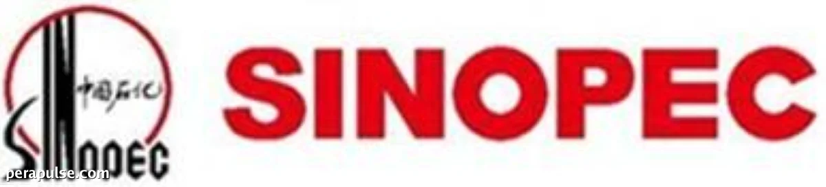 Tumatanggap ang Sinopec ng 'Social Responsibility Best Practice' Award sa Germany