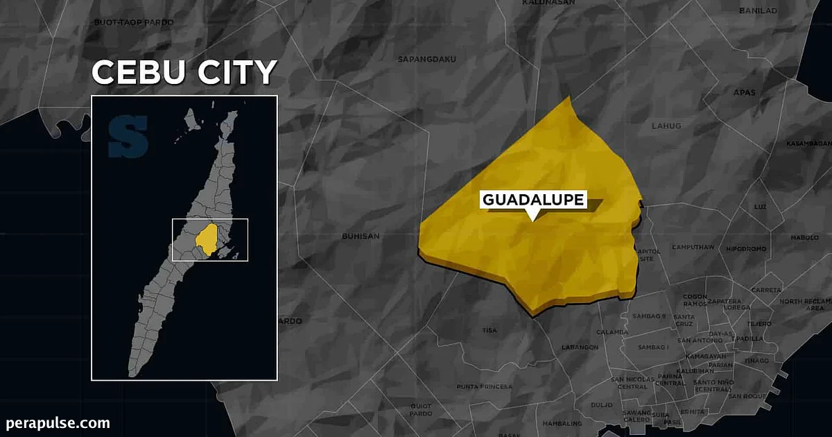 Son Arrested After Threatening Mother with Knife in Cebu