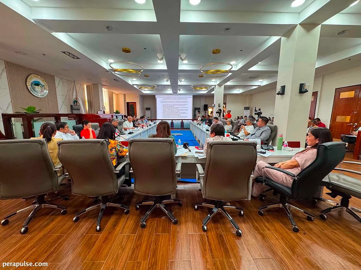 SP Conducts Thorough Review of CSF's Outreach Ordinance