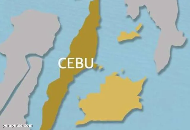 Tragic Discovery: 2 Missing Boys Found Dead in Vehicle in Naga City, Cebu